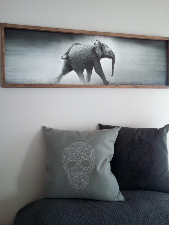 Tribal Concept Daire Cape Town Dış mekan fotoğraf